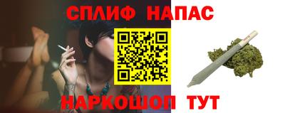 ECSTASY Гай