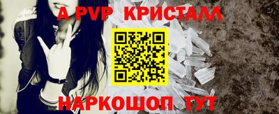 ECSTASY Гай