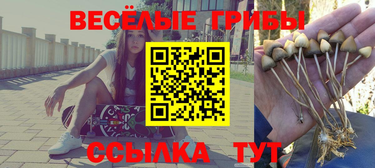 Шелехов  Галлюциногенные грибы мухоморы  Вход с VPN 