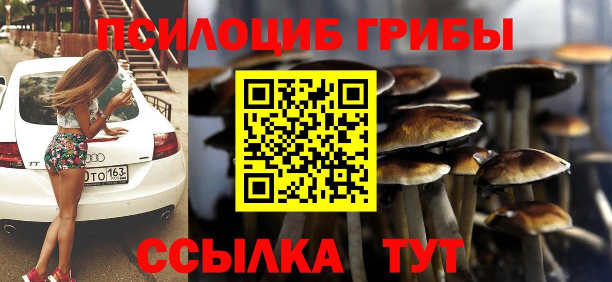 Псилоцибиновые грибы мицелий Шелехов