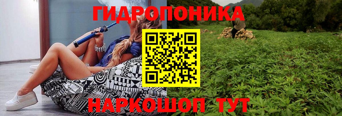 Конопля сатива Шелехов